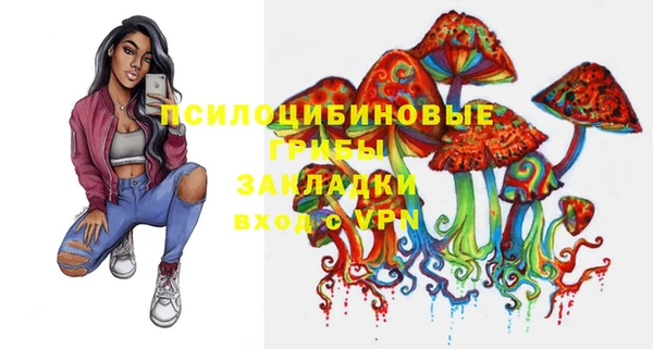 гашик Бугульма
